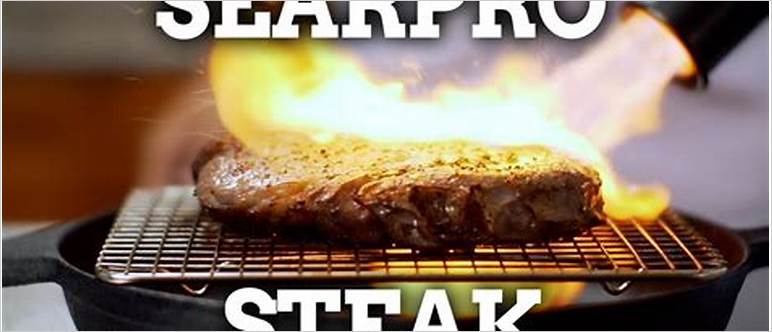 Food torch steak